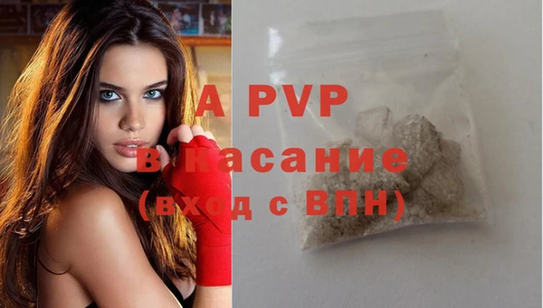 spice Богданович