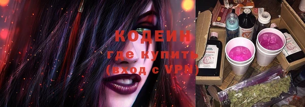 mdpv Богородицк