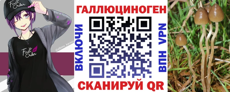 закладка  Донской  Псилоцибиновые грибы MAGIC MUSHROOMS 